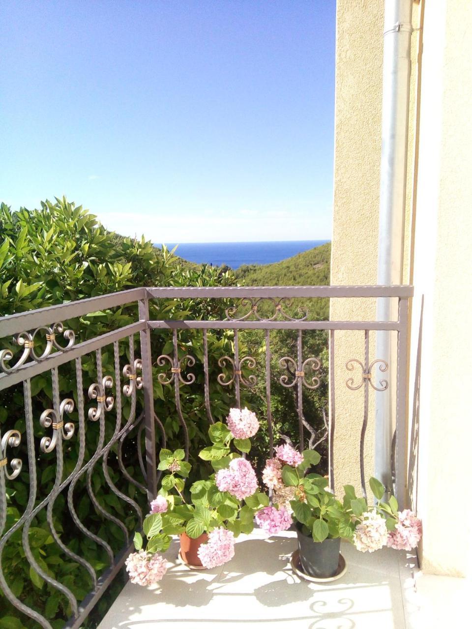 Holiday Apartments Maslina Paho Babino Polje Buitenkant foto