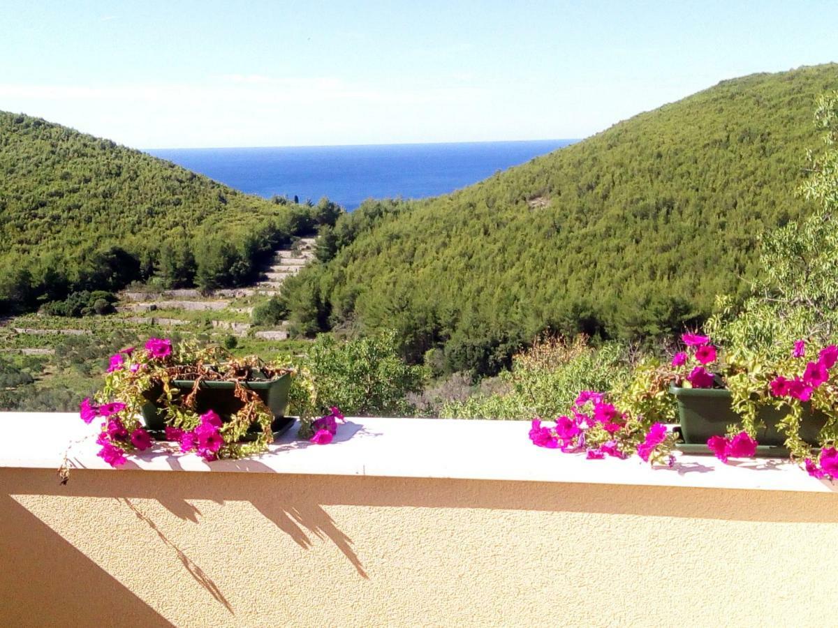 Holiday Apartments Maslina Paho Babino Polje Buitenkant foto